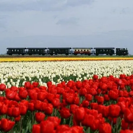 Hoorn Wellness 4